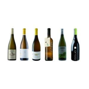 6 grandes vinos gallegos (Opinión personal)
