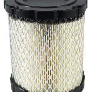 B&S 798897 FILTRO DE AIRE