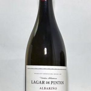 Albariño Lagar de Pintos Doble Magnum