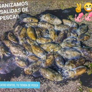 Pesca del Choco y Calamar a EGING