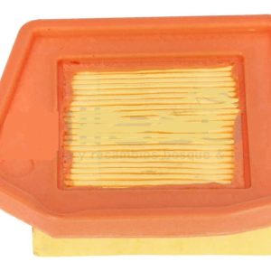 FILTRO AIRE PAPEL D546HXP (A4)