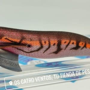 POTERA EVERGREEN Egi Bancho D Fast Sinking 3.5