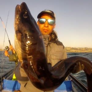 Pesca a Fondo con Cebo