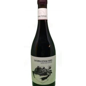 Azos de Paraxe Alicante Bouschet