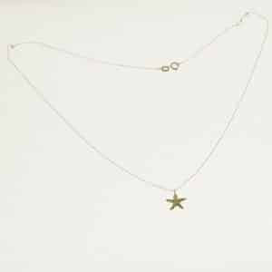Colgante Collar Estrella
