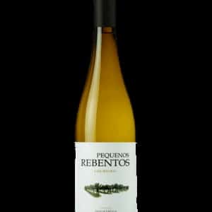 Loureiro Pequenos rebentos
