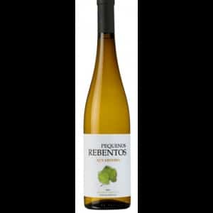 Pequenos rebentos Alvarinho