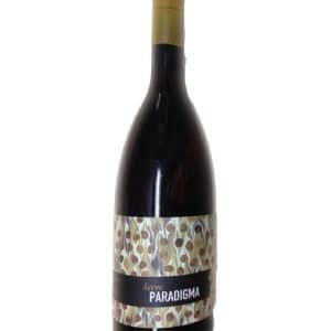 Vino Ribeiro Leive Paradigma
