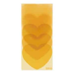 Pañuelo Foulard Tous Blurry