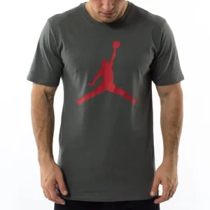 Camiseta Air Jordan Iconic Jumpman Tee Grey