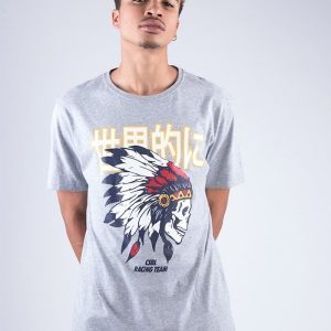 CAMISETA CAYLER AND SONS DOWNTOWN GREY