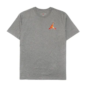 Camiseta Jordan Jumpman 3D Graphic Grey.