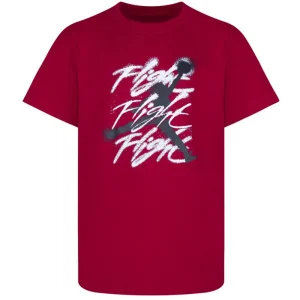 Camiseta Jordan Jumpman Flight Spray Junior