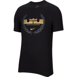 CAMISETA NIKE LEBRON «STRIVE FOR GREATNESS»