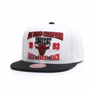 Gorra Chicago Bulls Back to 93 - Mitchell and Ness