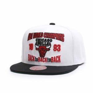 Gorra Chicago Bulls Back to 93 – Mitchell and Ness
