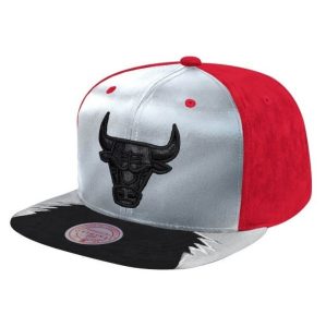 GORRA CHICAGO BULLS NBA DAY 5 - MITCHELL AND NESS RED SILVER.