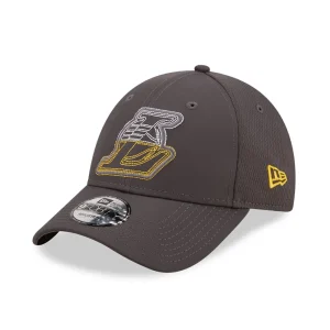 Gorra Lakers 9Forty Tech Mesh Logo – New Era