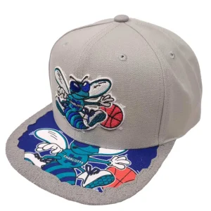 Gorra plana Charlotte Hornets «NBA Munch Time» Gris Mitchell and Ness