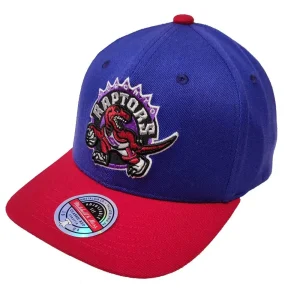 Gorra Toronto Raptors 2 Tone 2.0 Stretch - Mitchell and Ness