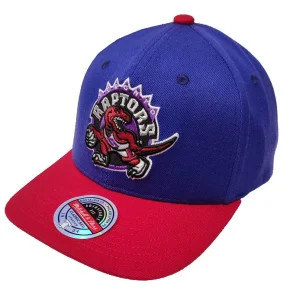 Gorra Toronto Raptors 2 Tone 2.0 Stretch – Mitchell and Ness