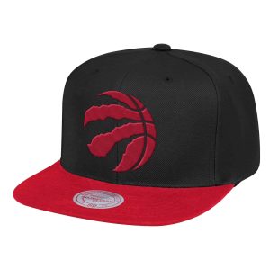 Gorra Toronto Raptors Wool Team 2 Tone 2 – Mitchell And Ness.