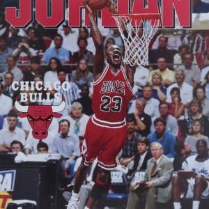Poster Michael Jordan Chicago Bulls 1995-96