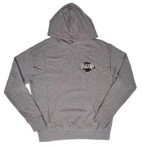 Sudadera Angeles Lakers "NBA Infill Team Logo" de New Era en Gris