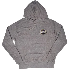 Sudadera Angeles Lakers «NBA Infill Team Logo» de New Era en Gris
