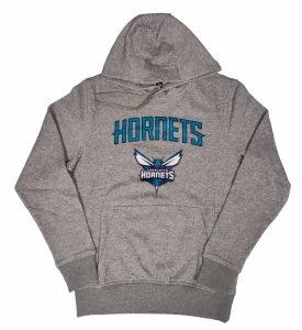 Sudadera Charlotte Hornets - New Era Team Logo
