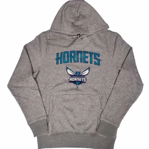 Sudadera Charlotte Hornets – New Era Team Logo