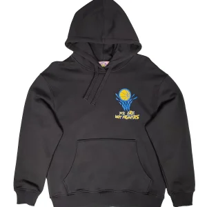 Sudadera We Are Not Friends – Vulcan Cavaliers hoodie