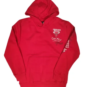 Sudadera Zach Lavine Chicago Bulls Team Drip Hoodie
