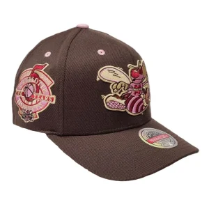 Gorra Charlotte Hornets NBA Brown Sugar HWC Mitchell and Ness.*