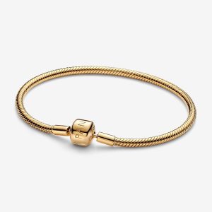 Pulsera Pandora Moments Cadena