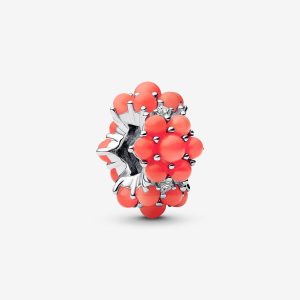 Charm Océano de Color Coral