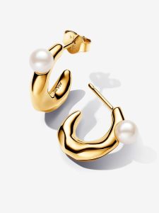Pendientes de Aro Forma