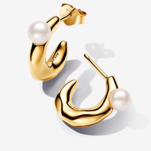 Pendientes de Aro Forma