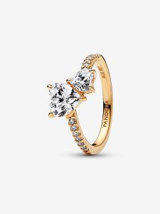 Anillo con un recubrimiento