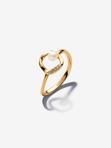 Anillo Círculo en Pavé Forma