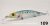 ADUSTA RSJ-115 SW 16GR