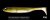 FISH ARROW FLASH J SHAD+ 4″
