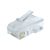 CABLEXPERT LC-8P8C-002/50 Conector RJ45 Cat.6 UTP Solidos (50 unds)