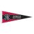 BANDERIN TORONTO RAPTORS