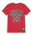 Camiseta Air Jordan JDB Practice Flight roja niño