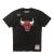 Camiseta Chicago Bulls «Wordmark NBA Finals 1996» – Mitchell & Ness