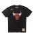 Camiseta Chicago Bulls «Wordmark NBA Finals 1996» – Mitchell & Ness