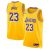 Camiseta Lebron James Lakers «Icon Edition» 2024 Swingman Junior