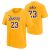 Camiseta Lebron James Los Angeles Lakers – N&N Nike Icon Edition Junior