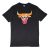 Camiseta manga corta Chicago Bulls «NBA Sky Print» de New Era en Negro